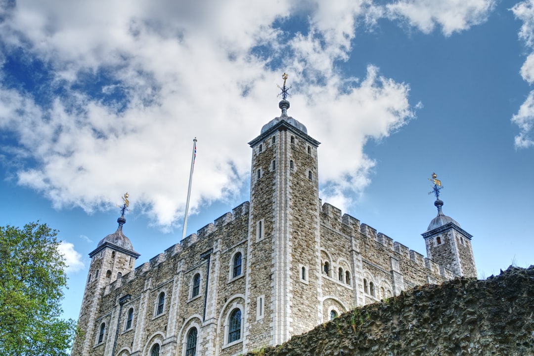 a castle with two towers and two flags on top of it