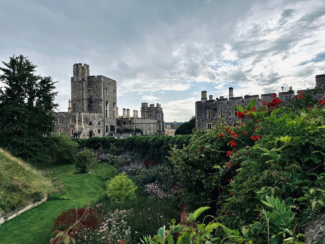 a view of a castle from a garden